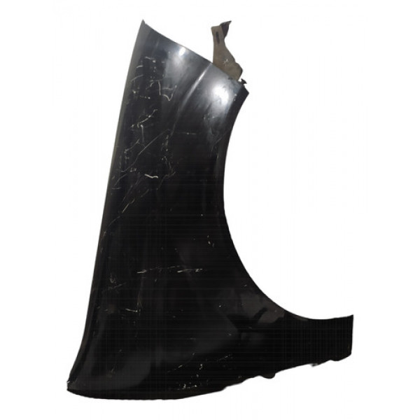 Paralama Fiat Palio Bbb Lado Direito Original Usado 