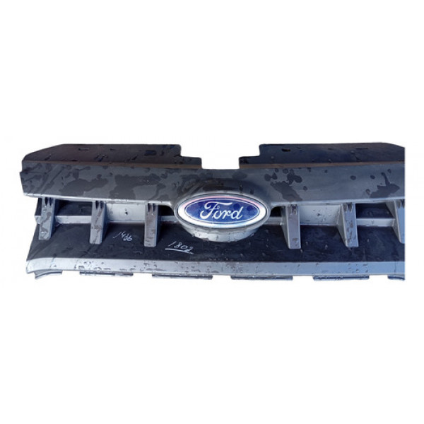 Grade Radiador Ford Fiesta Hatch 2010