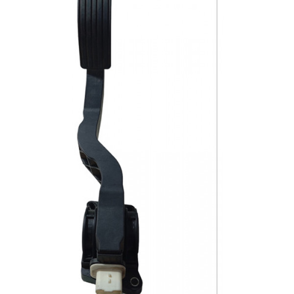Pedal Acelerador Eletrônico Peugeot 206 