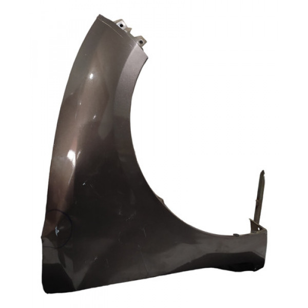 Paralama Hyundai Hb20 Lado Direito Original Usado