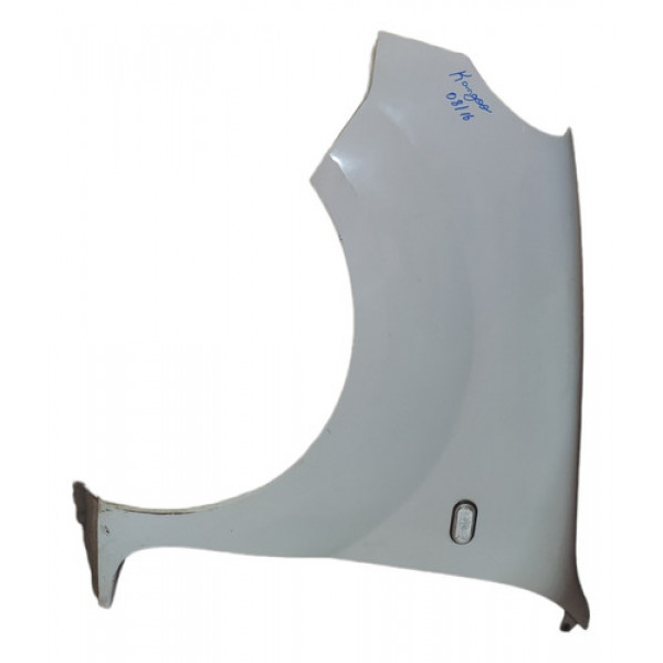 Paralama Esquerdo Renault Kangoo Usado Original 