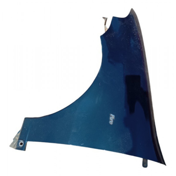 Paralama Esquerdo Fiat Palio Siena Fire 2001 A 2005