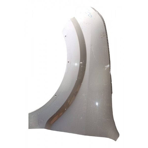 Paralama Esquerdo Ford Ecosport 2010