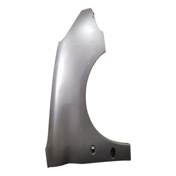 Paralama Peugeot 206 Lado Direito Original Usado C/detalhe