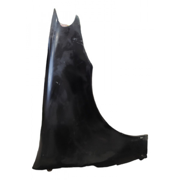 Paralama Palio Zoião Lado Direito Original Usado C/detalhe