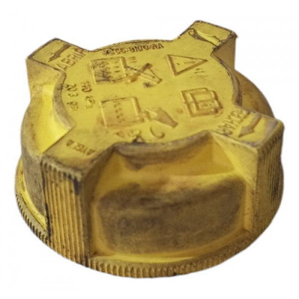 Tampa Reservatório Água Radiador Ford Ka 1997 A 2007