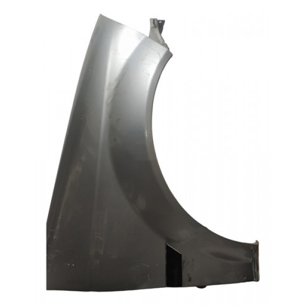 Paralama Fiat Palio Bbb 2010 Lado Direito Original Usado